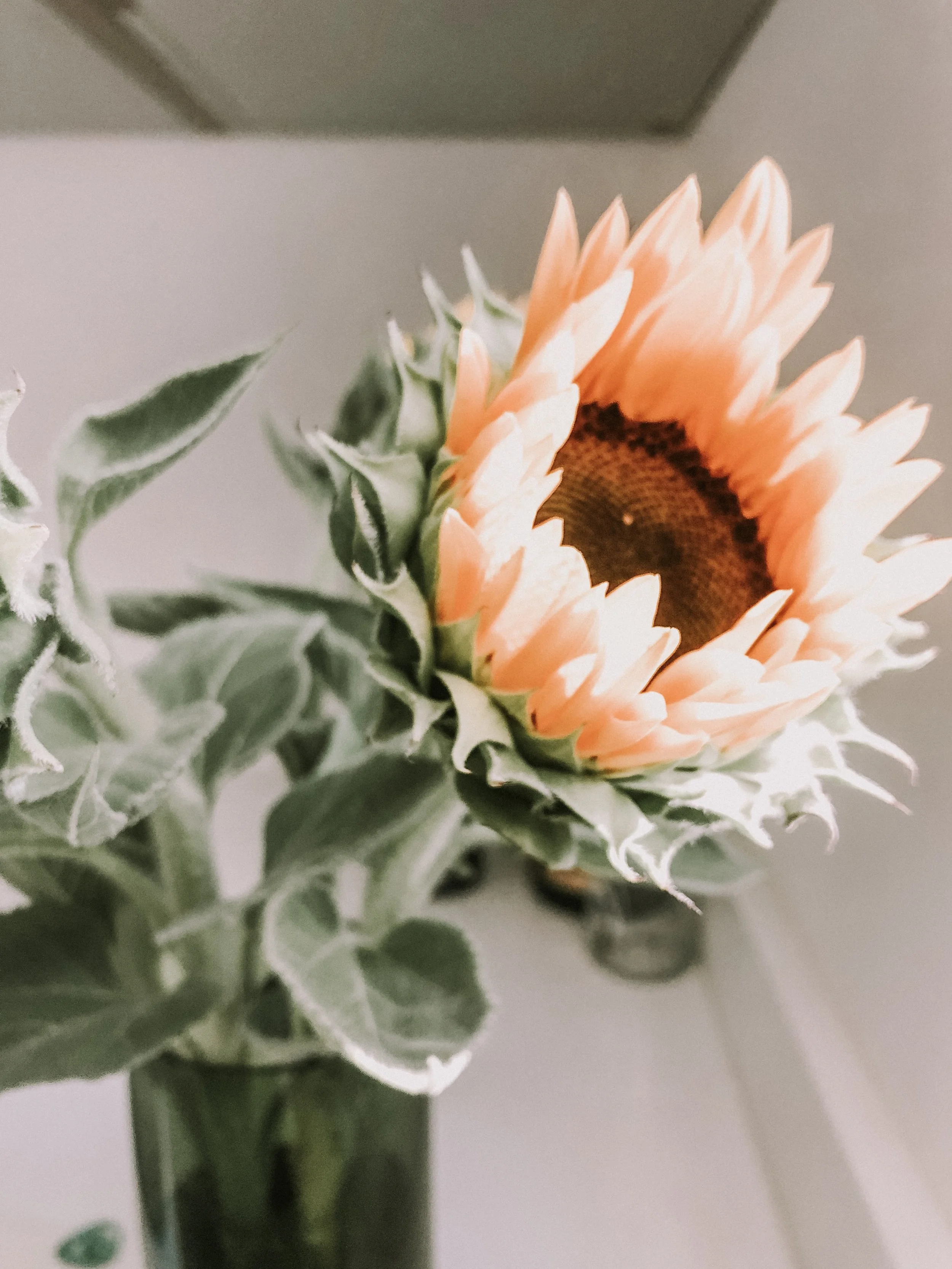 An Ode to Journaling