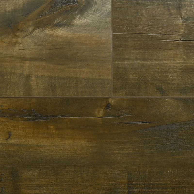 Cascade Range Maple