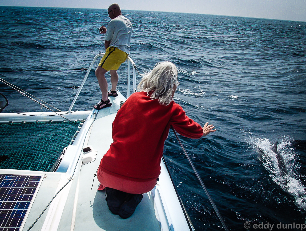 Talking with dolfins