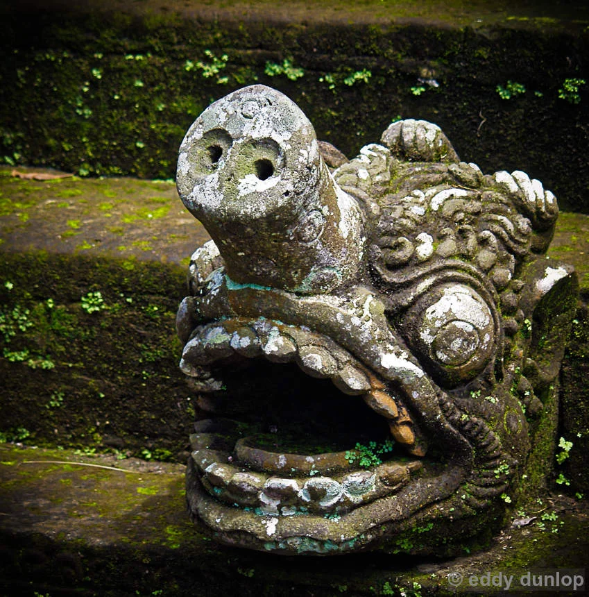 015-2005_bali4_ubut191_DxO.jpg