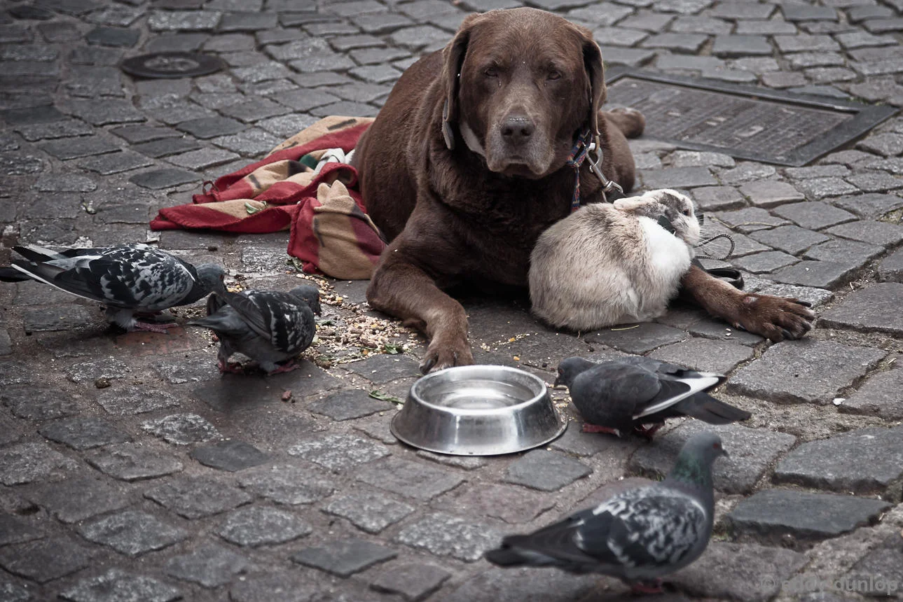 streetlife
