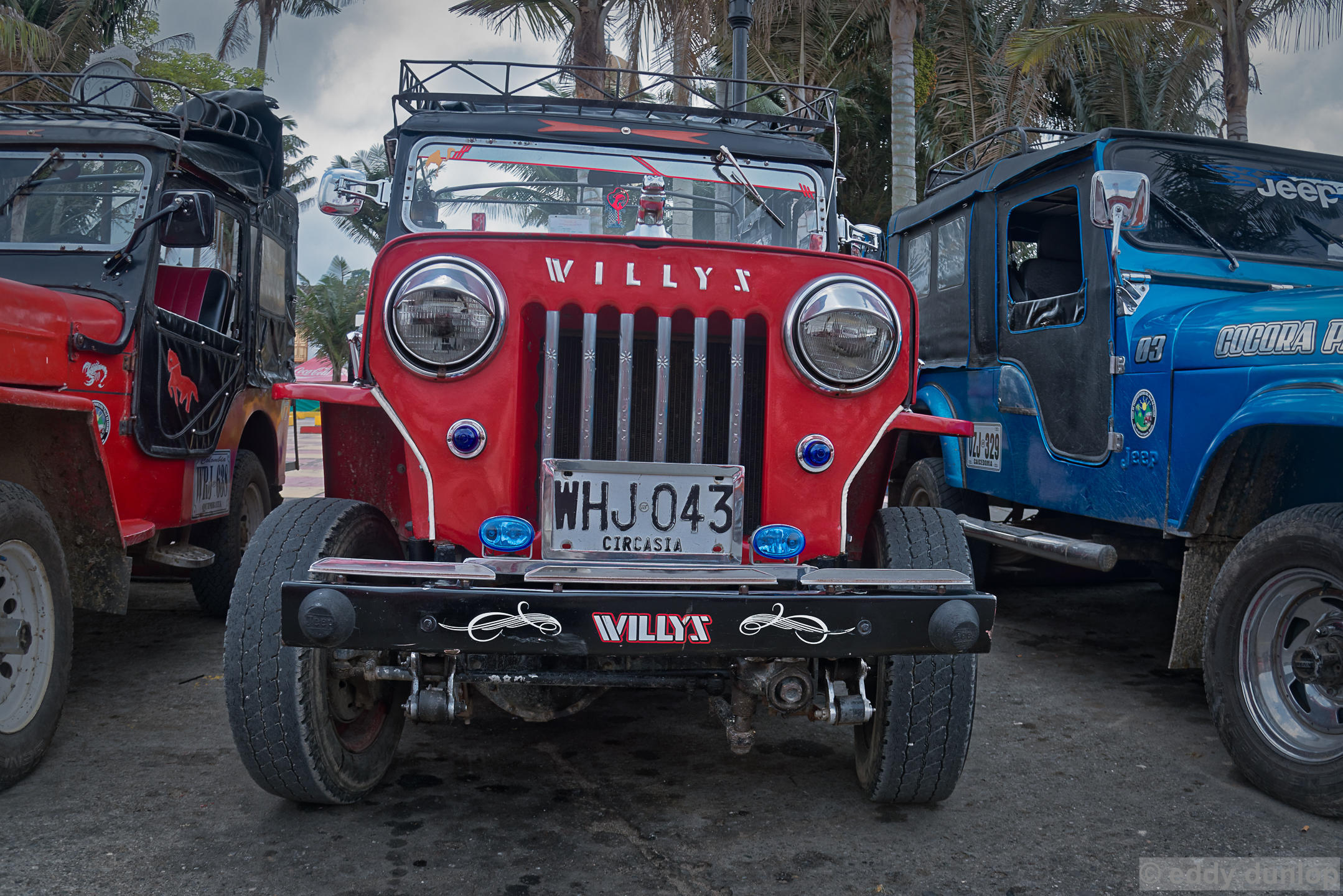 The Willy is prefered in Quindio