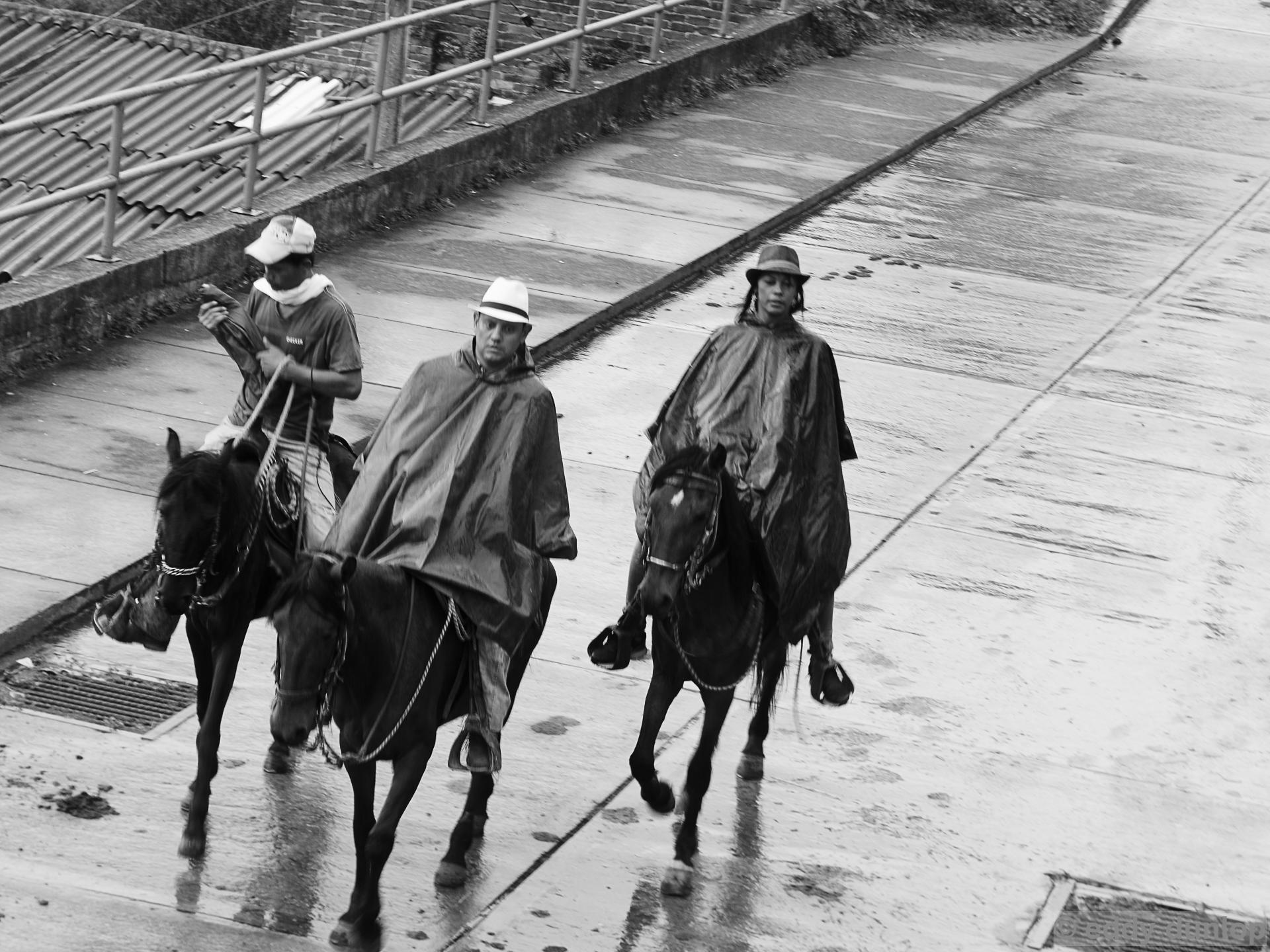 one meets horses every day here
