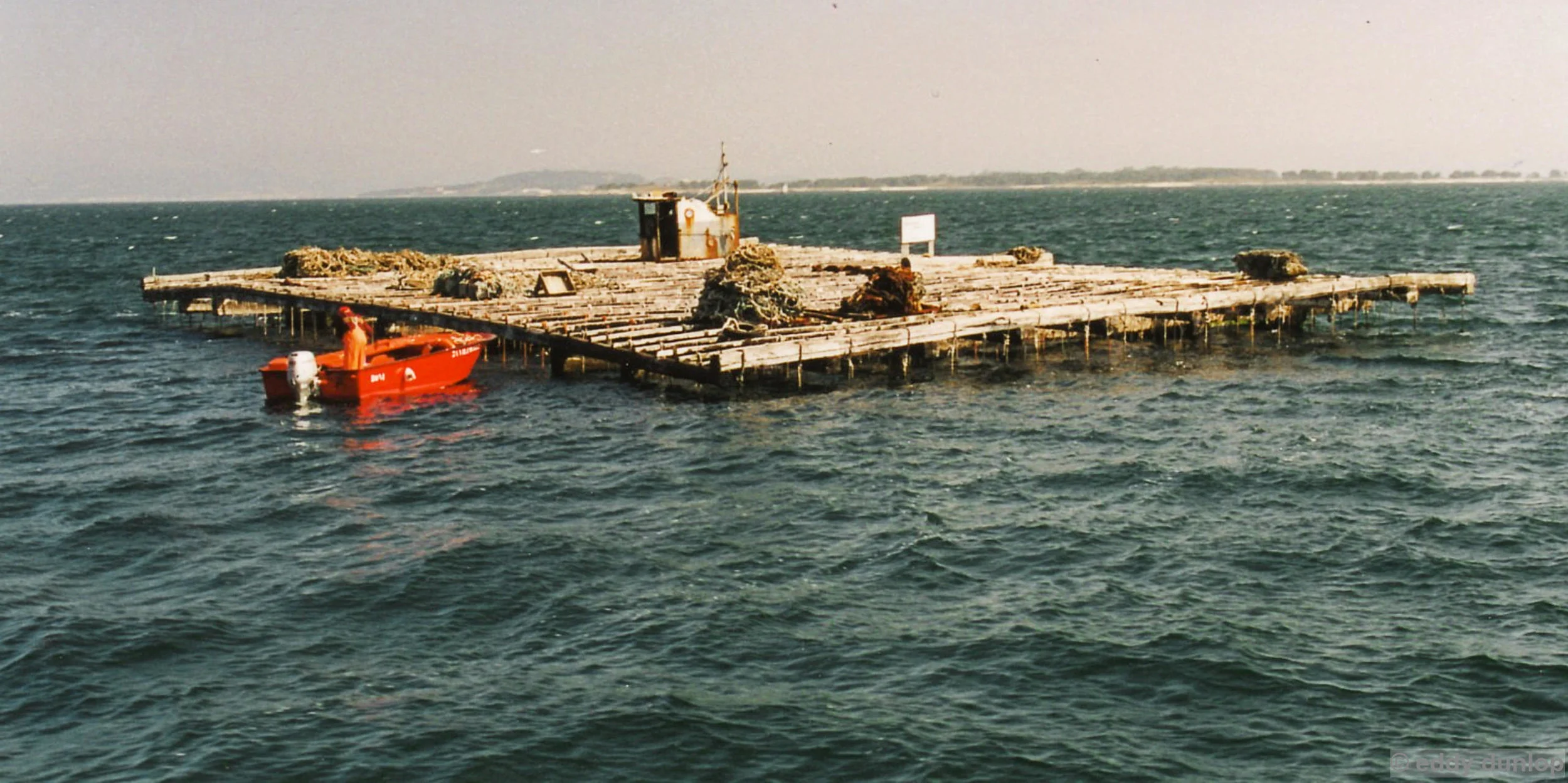 floating oysterfarm in rio de rosas