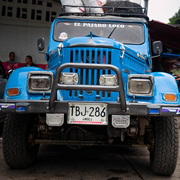 Rumanian Aro-m461 (Carpati) are favorite in the Andes area