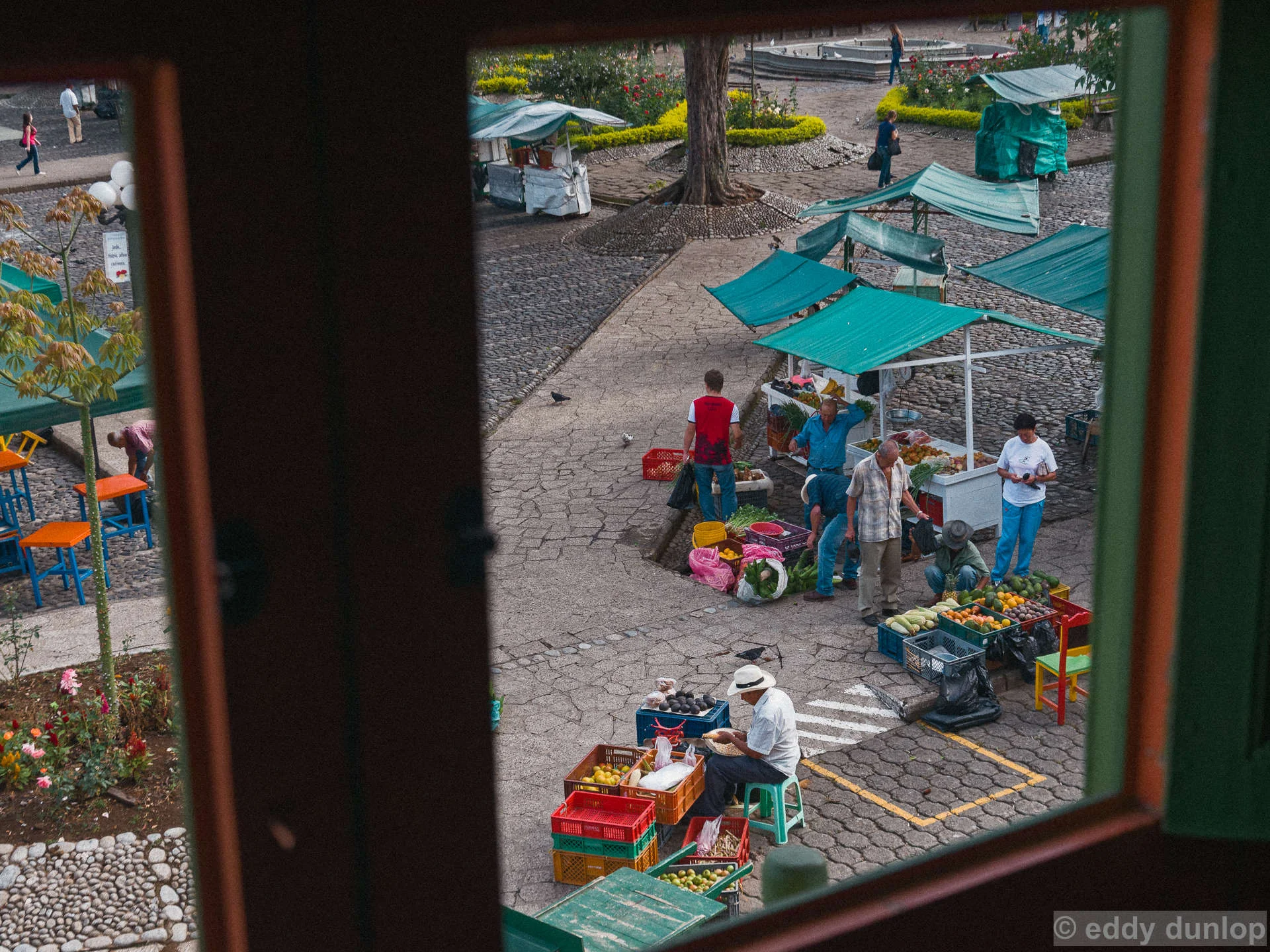 https www catboanerges com gardin 2016xl