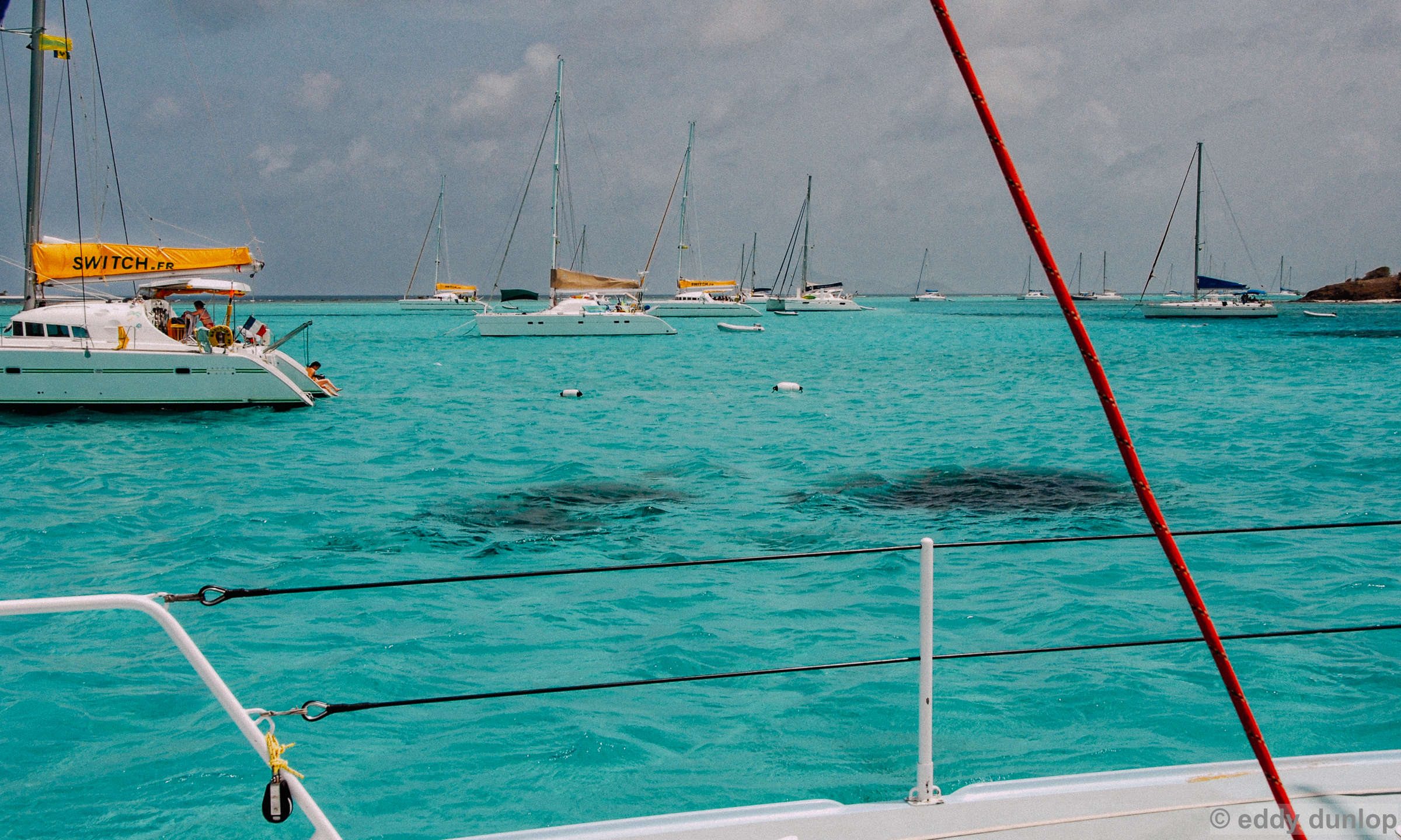 tobago cays - St. Vincent and the Grenadines