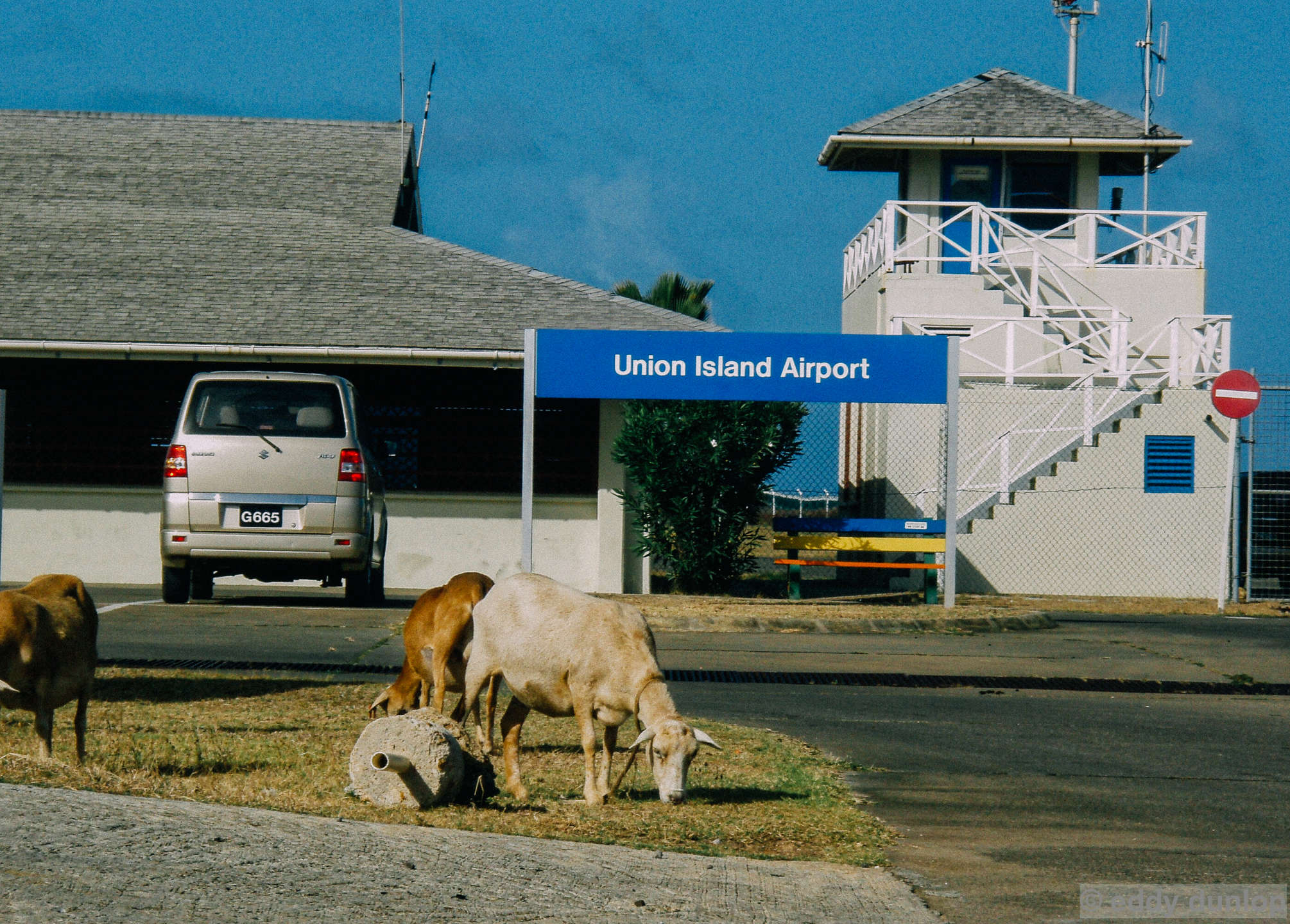 union island - St. Vincent and the Grenadines
