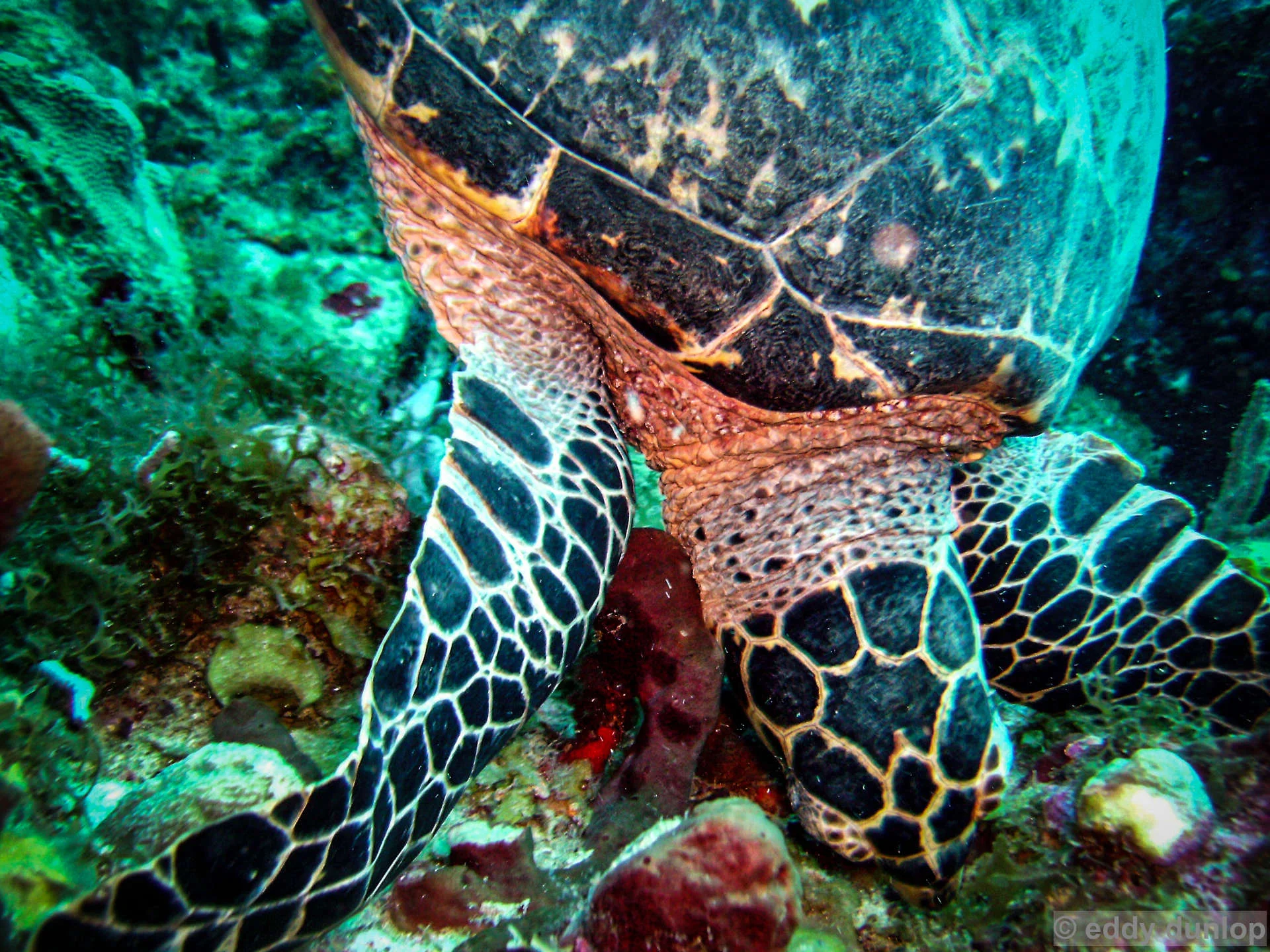 statia - netherlands