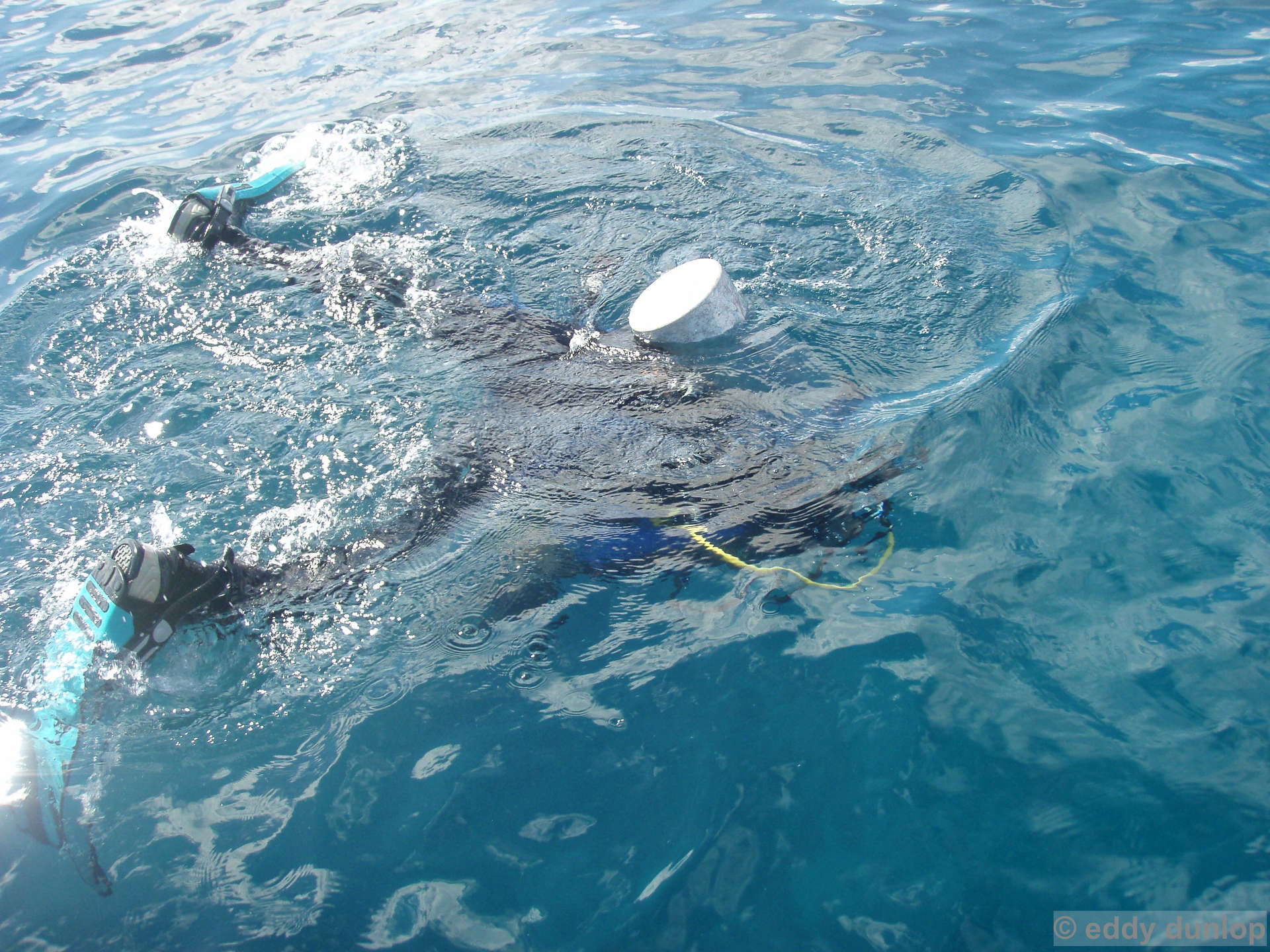 carriacou - grenada