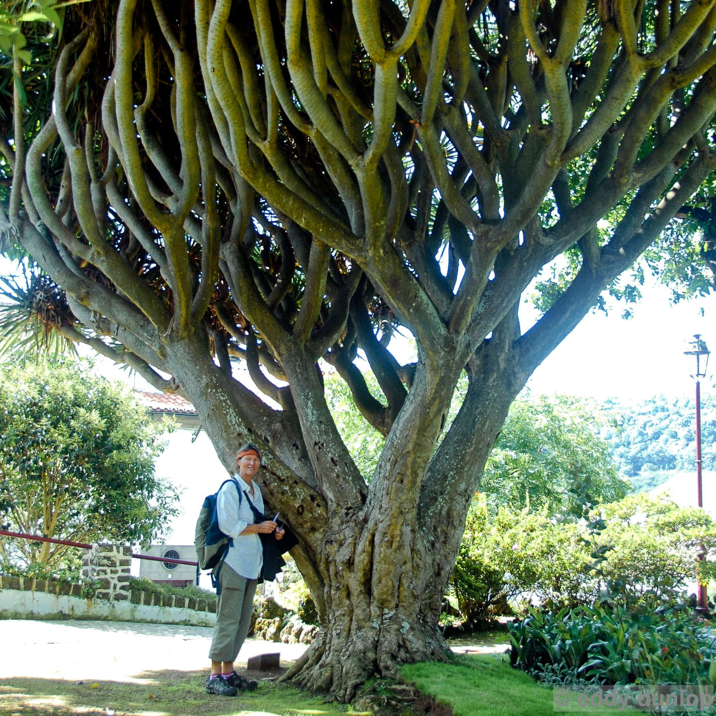 angro do heroismo - terceira - azores