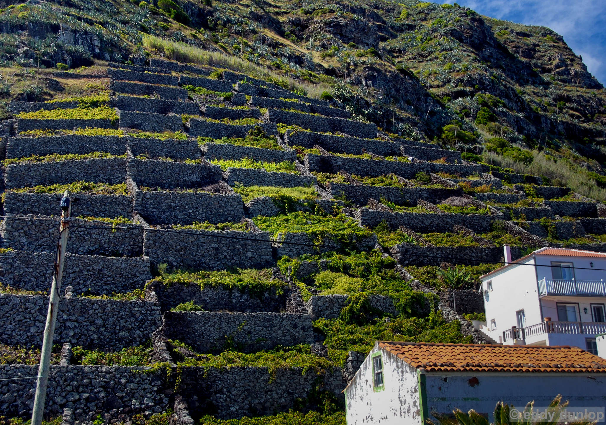 vila do porto - santa maria - azores