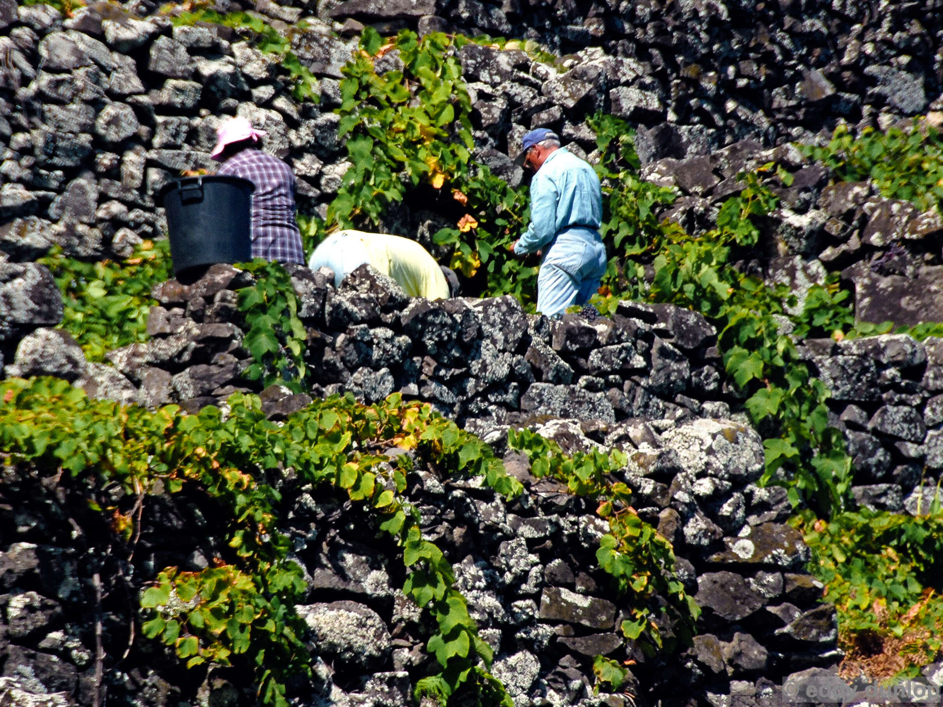 vila do porto - santa maria - azores