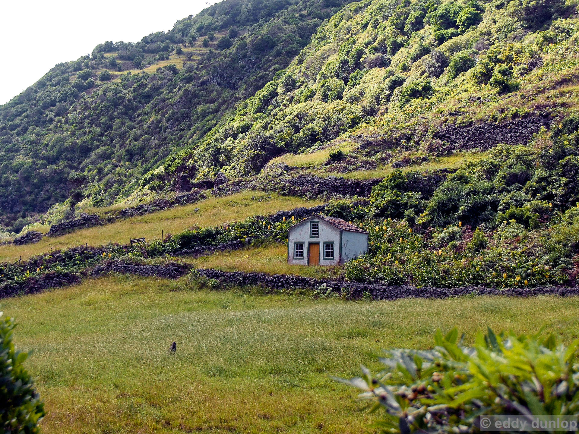 vila do porto - santa maria - azores
