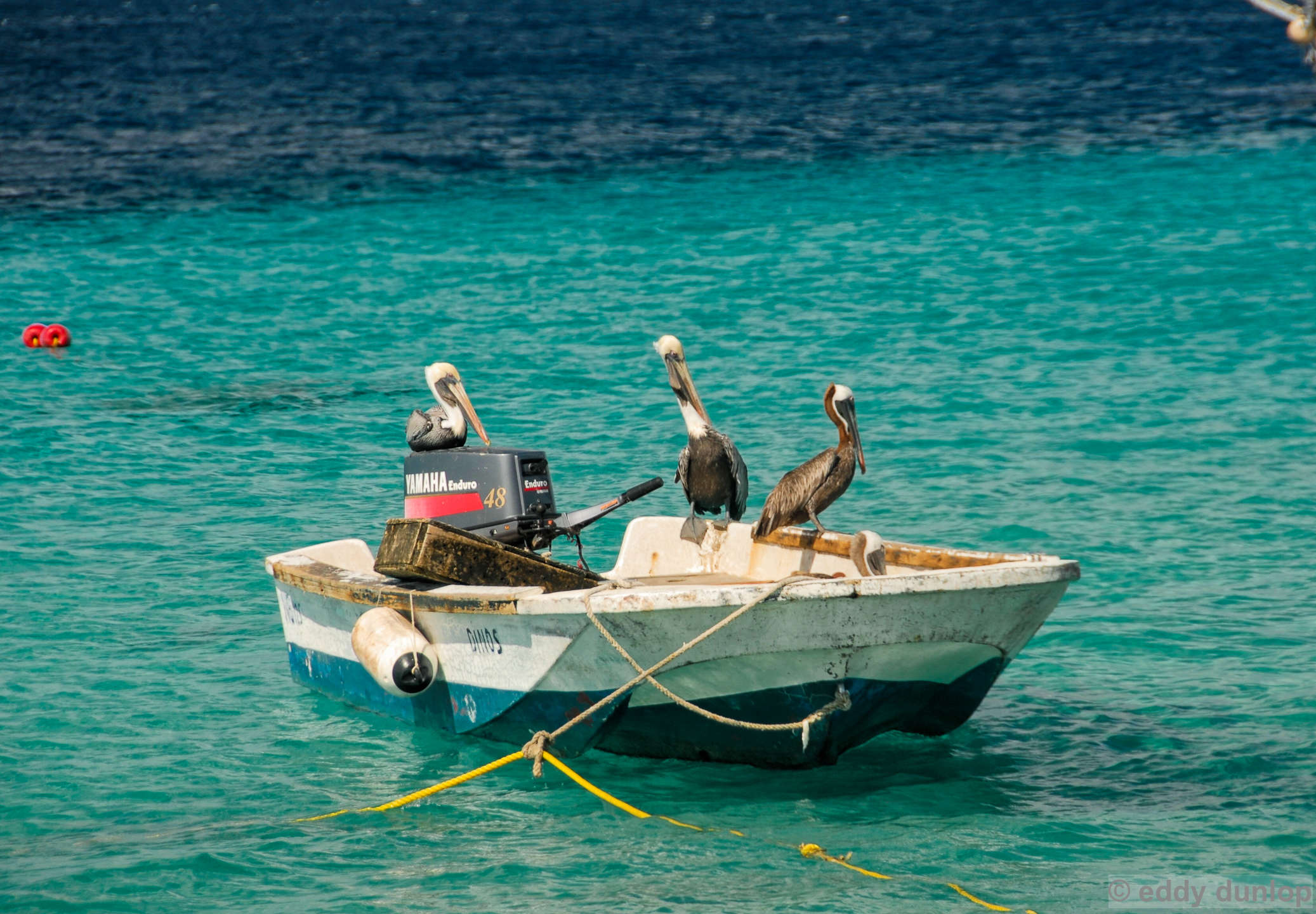 Bonaire - Caribbean- Netherlands