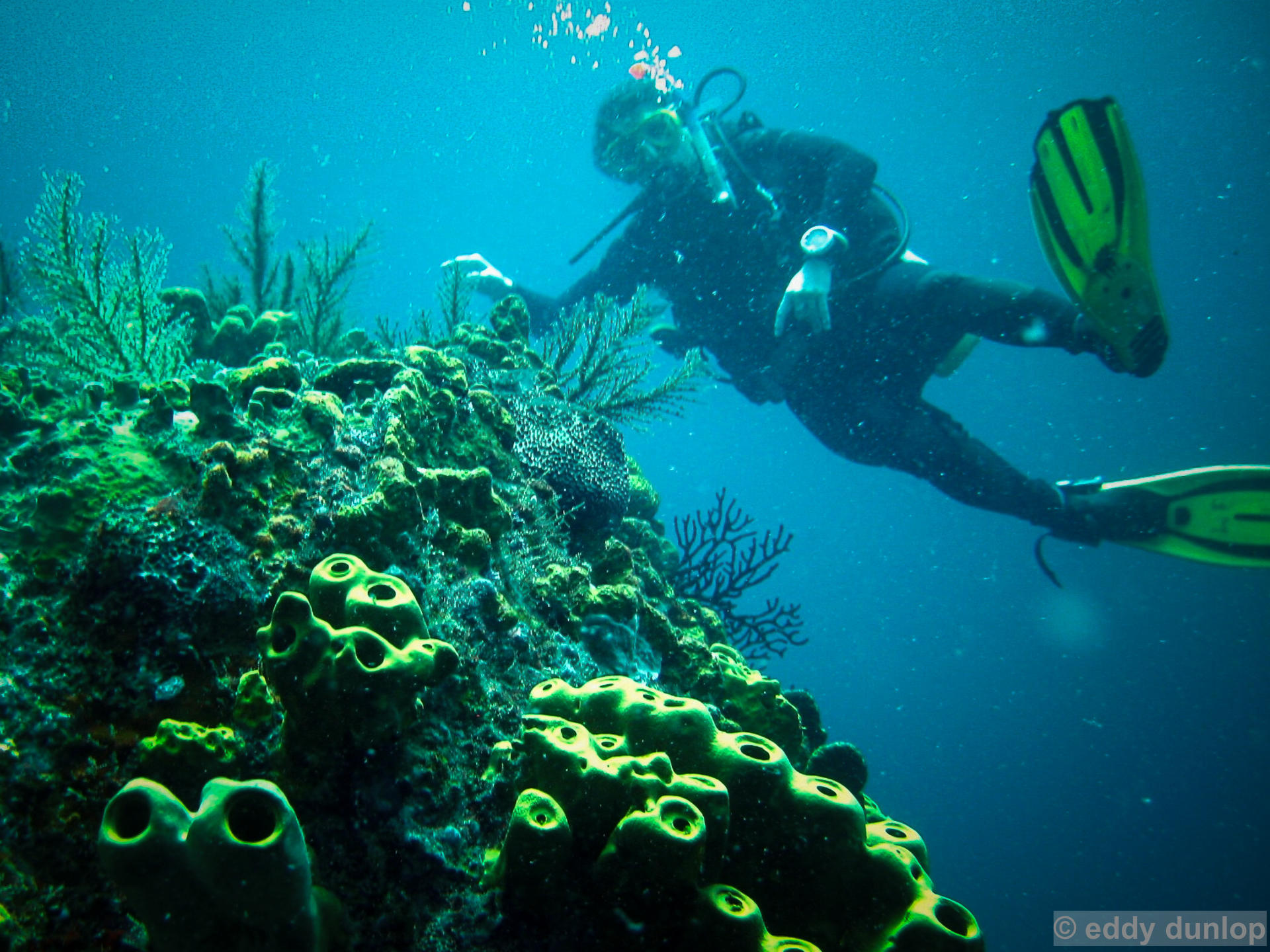 Copy of saba - netherlands