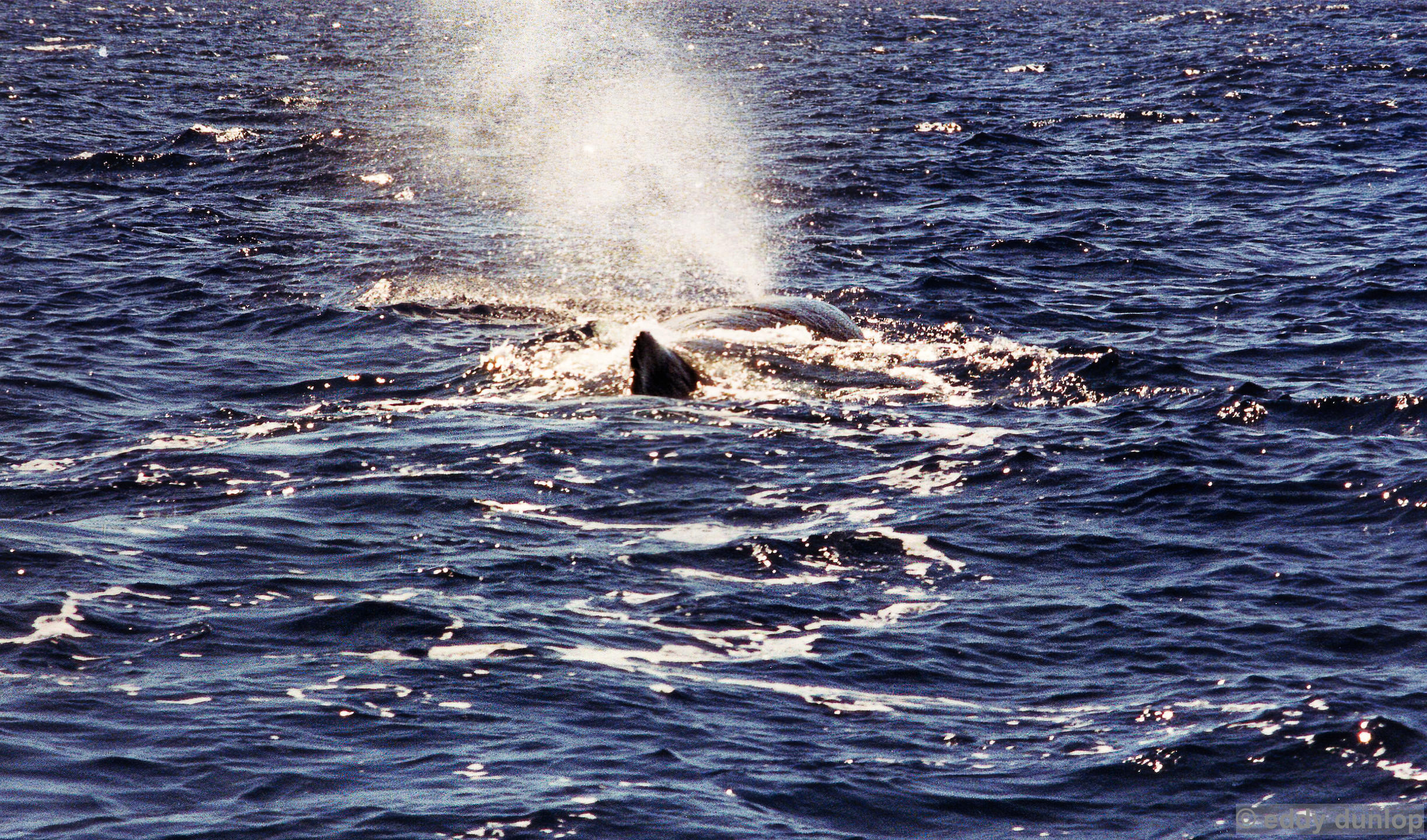 atlantic ocean