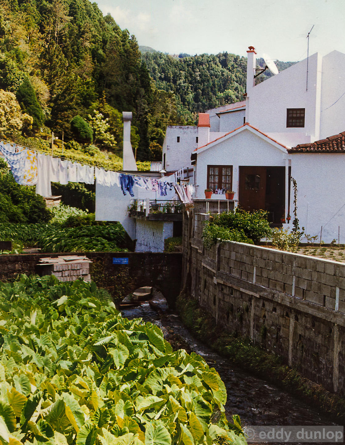 sao miguel - azores