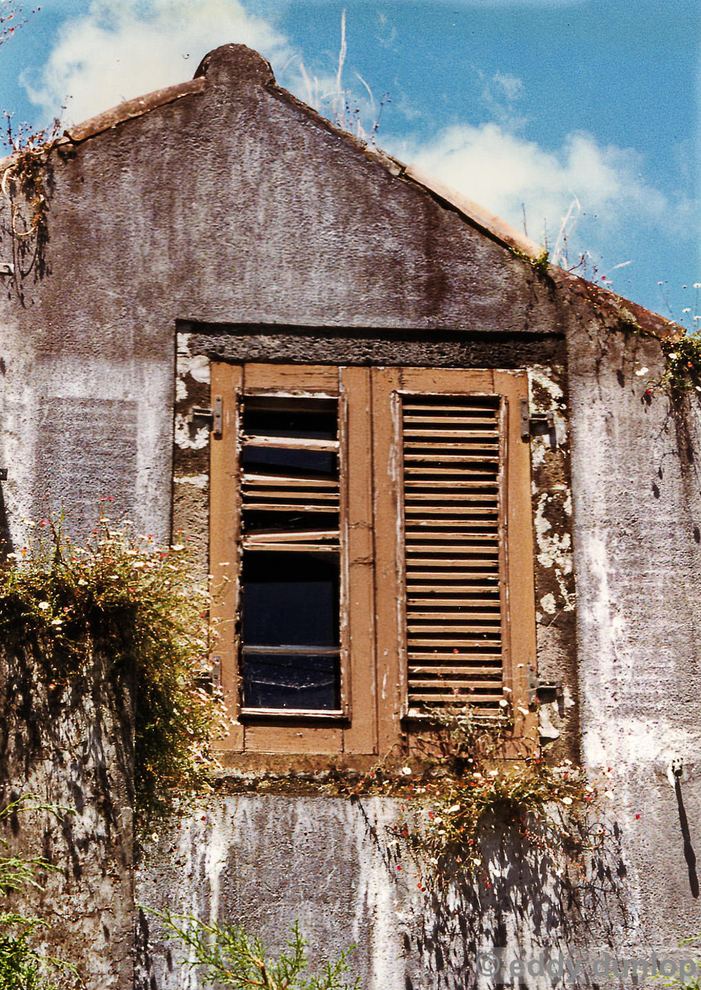 sao miguel - azores