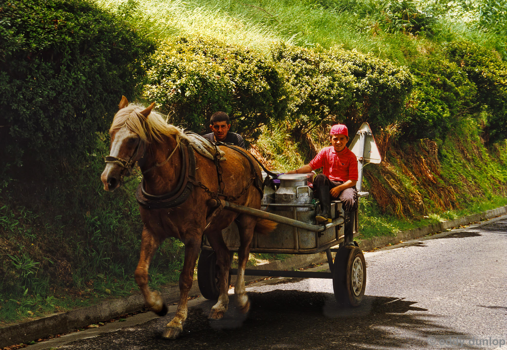 sao miguel - azores
