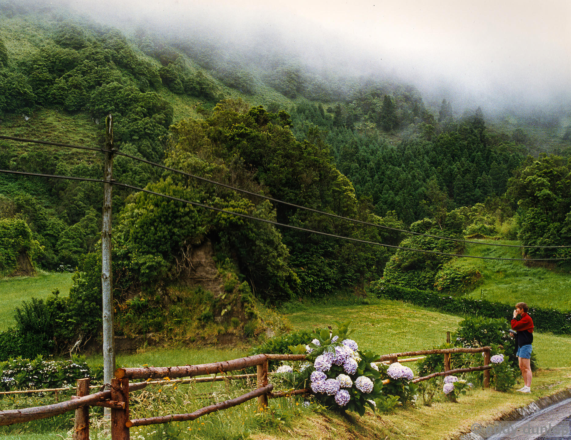 sao miguel - azores