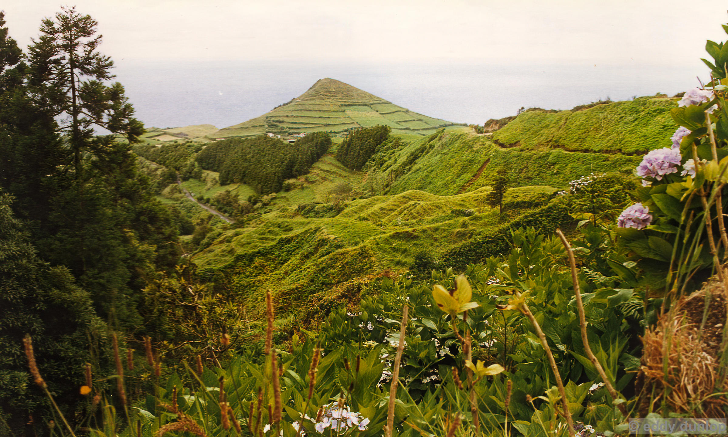sao miguel - azores