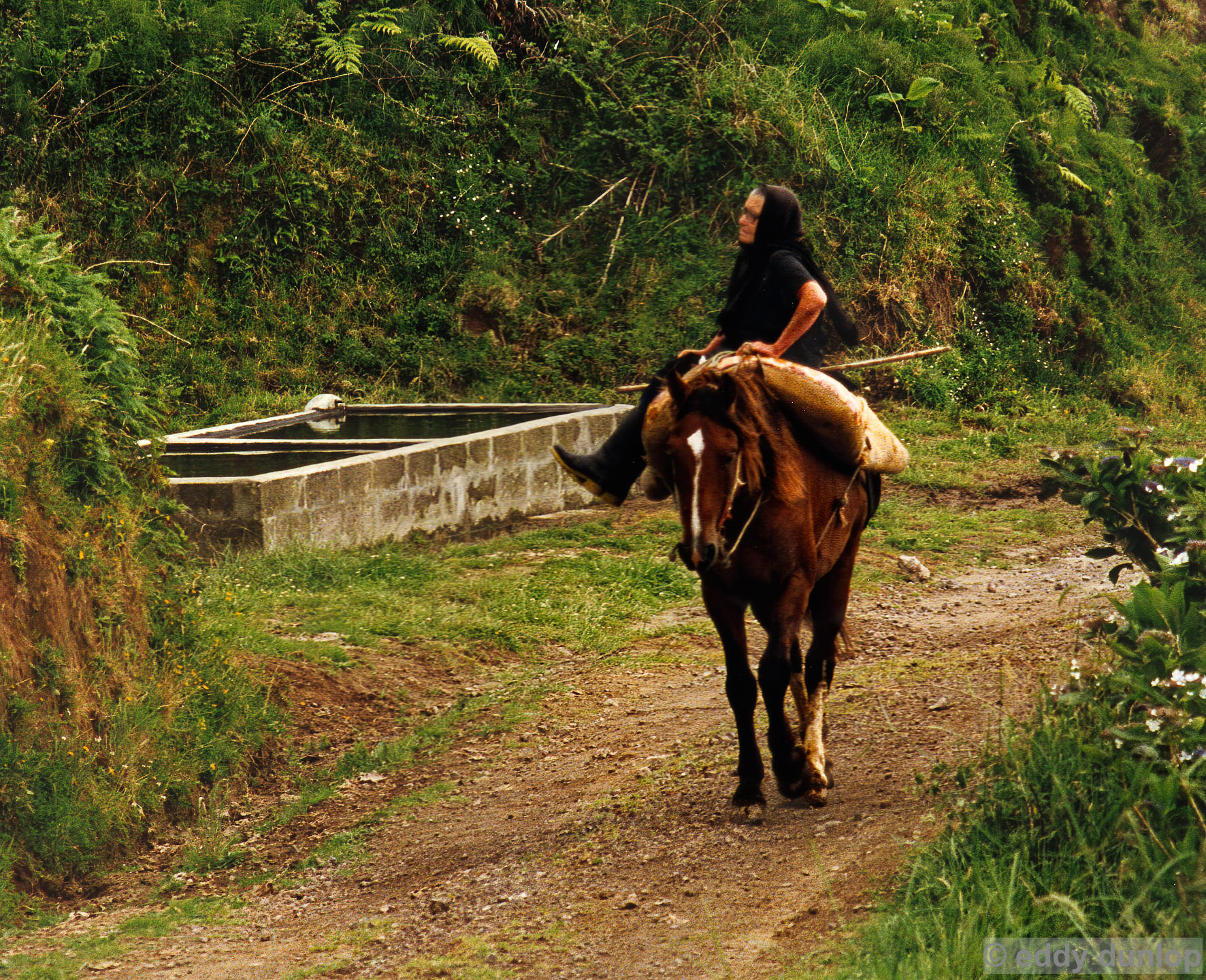 sao miguel - azores