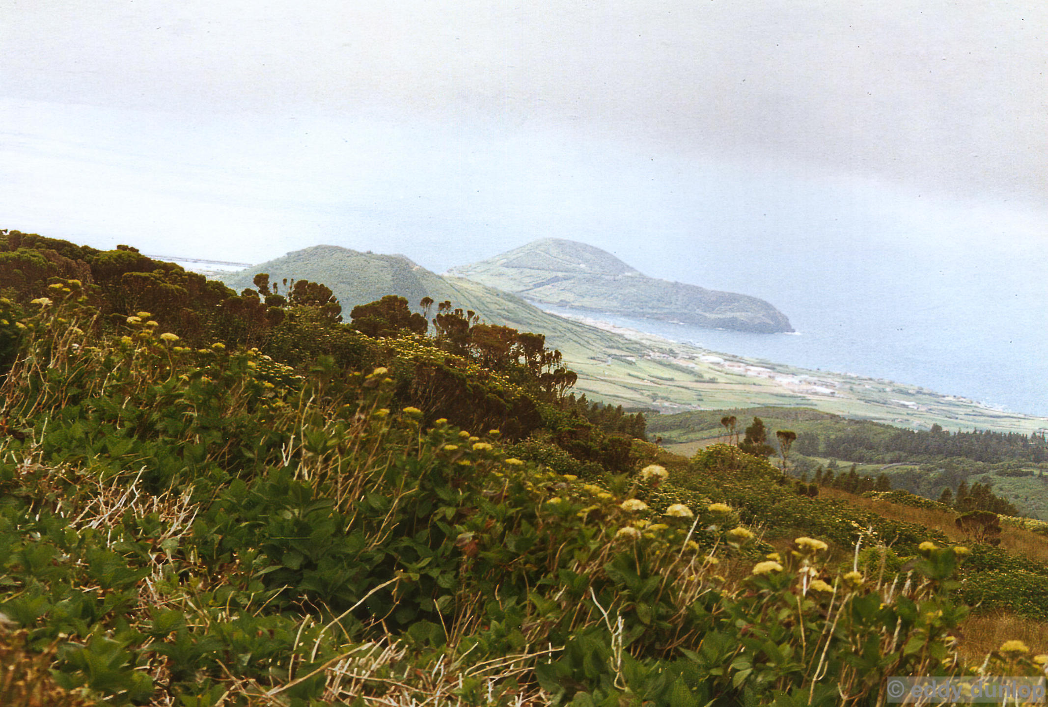 horta - faial - azores
