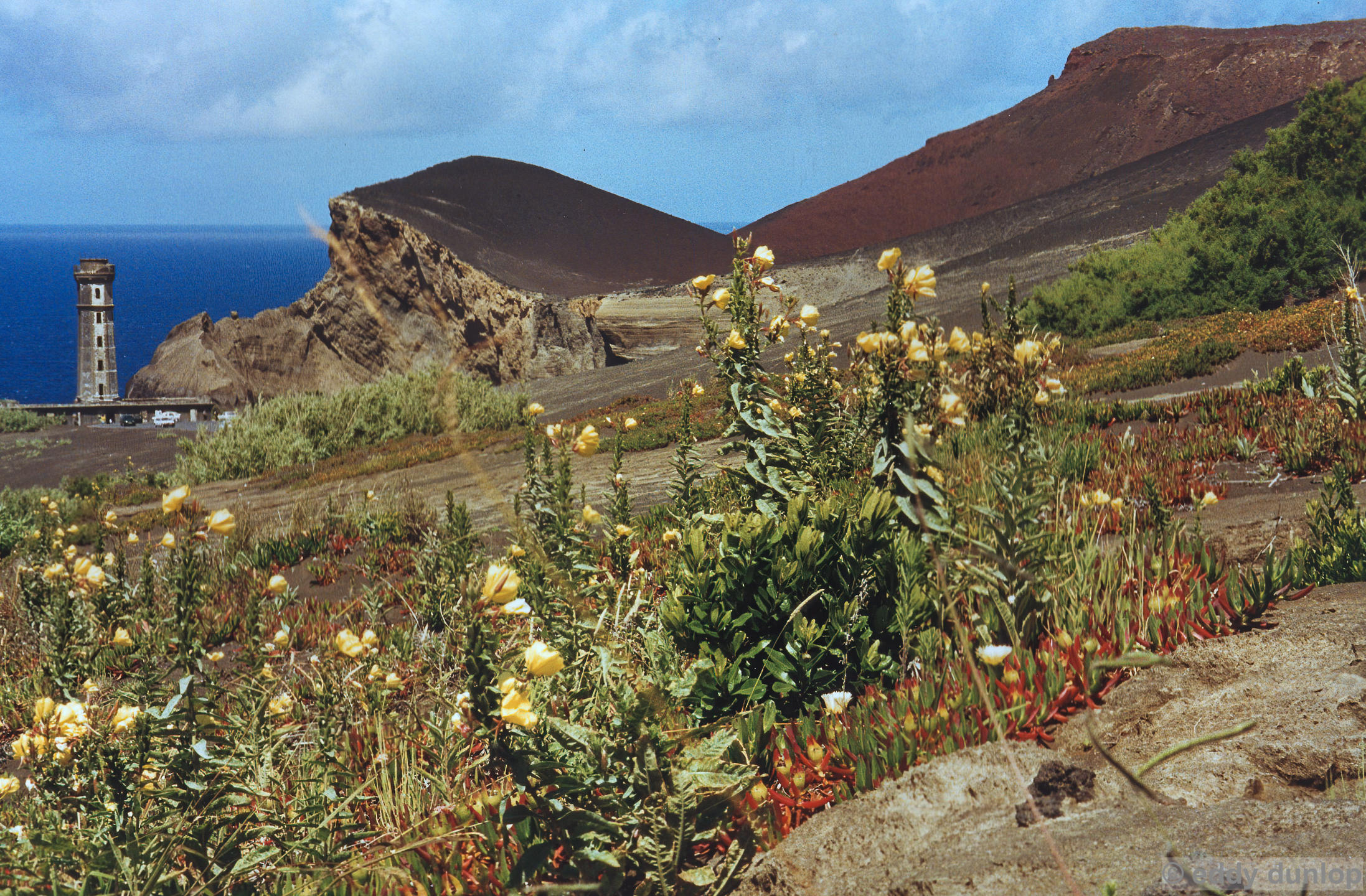 horta - faial - azores