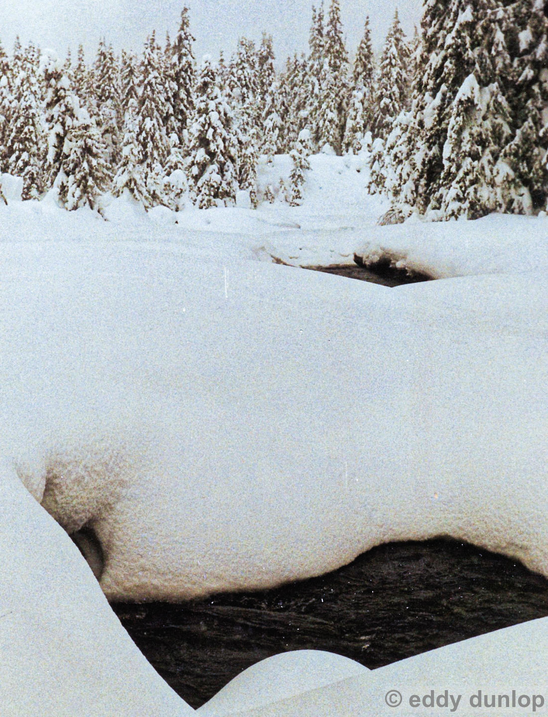 glomstad gard (1988)-gudbrandsdalen-norway