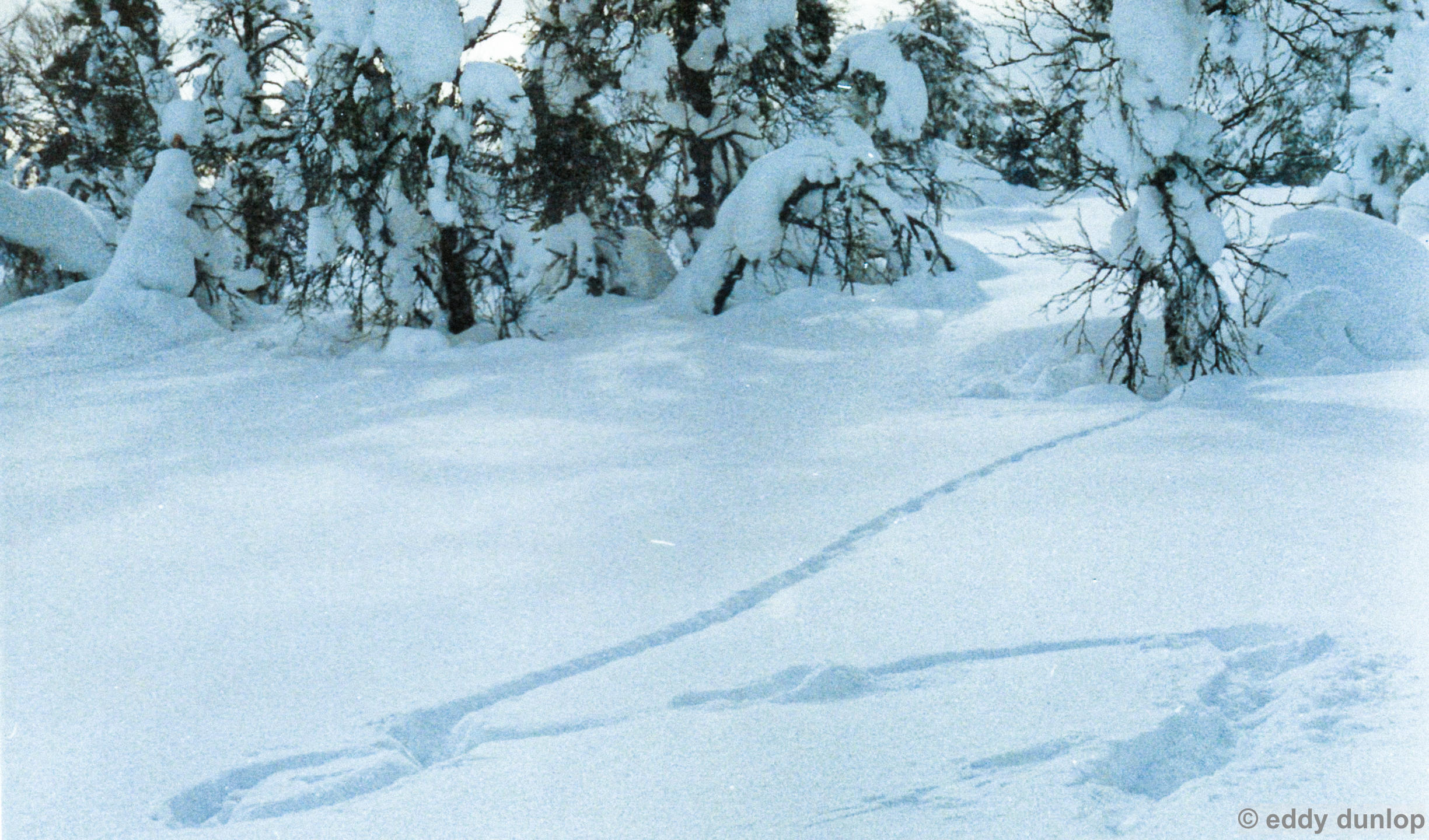 glomstad gard (1988)-gudbrandsdalen-norway