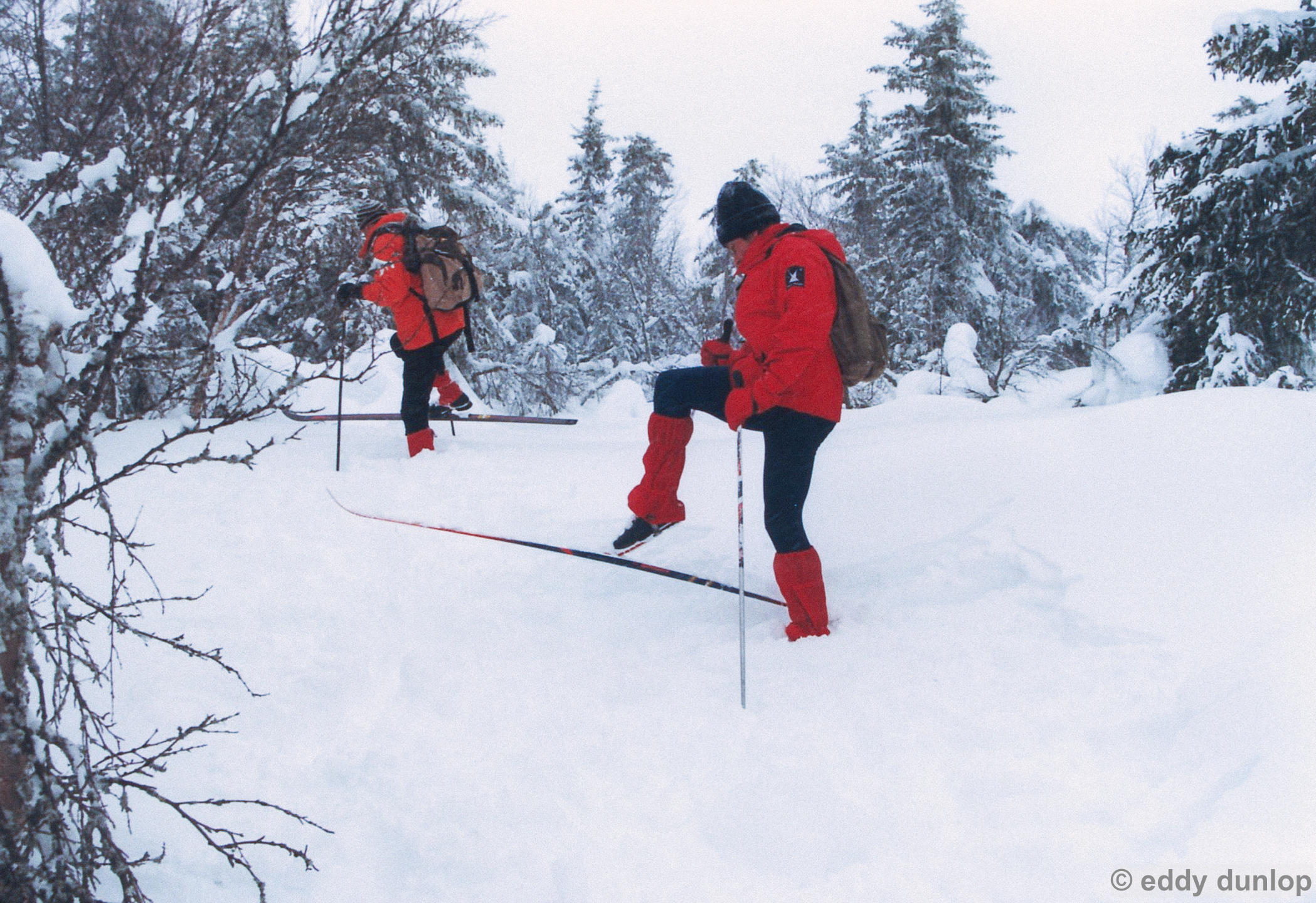glomstad gard (1999)-gudbrandsdalen-norway