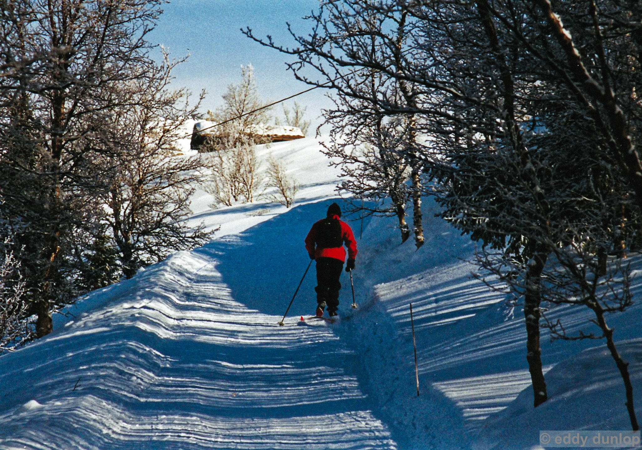 raphamm (2001) - ringebu-rondane national park - norway