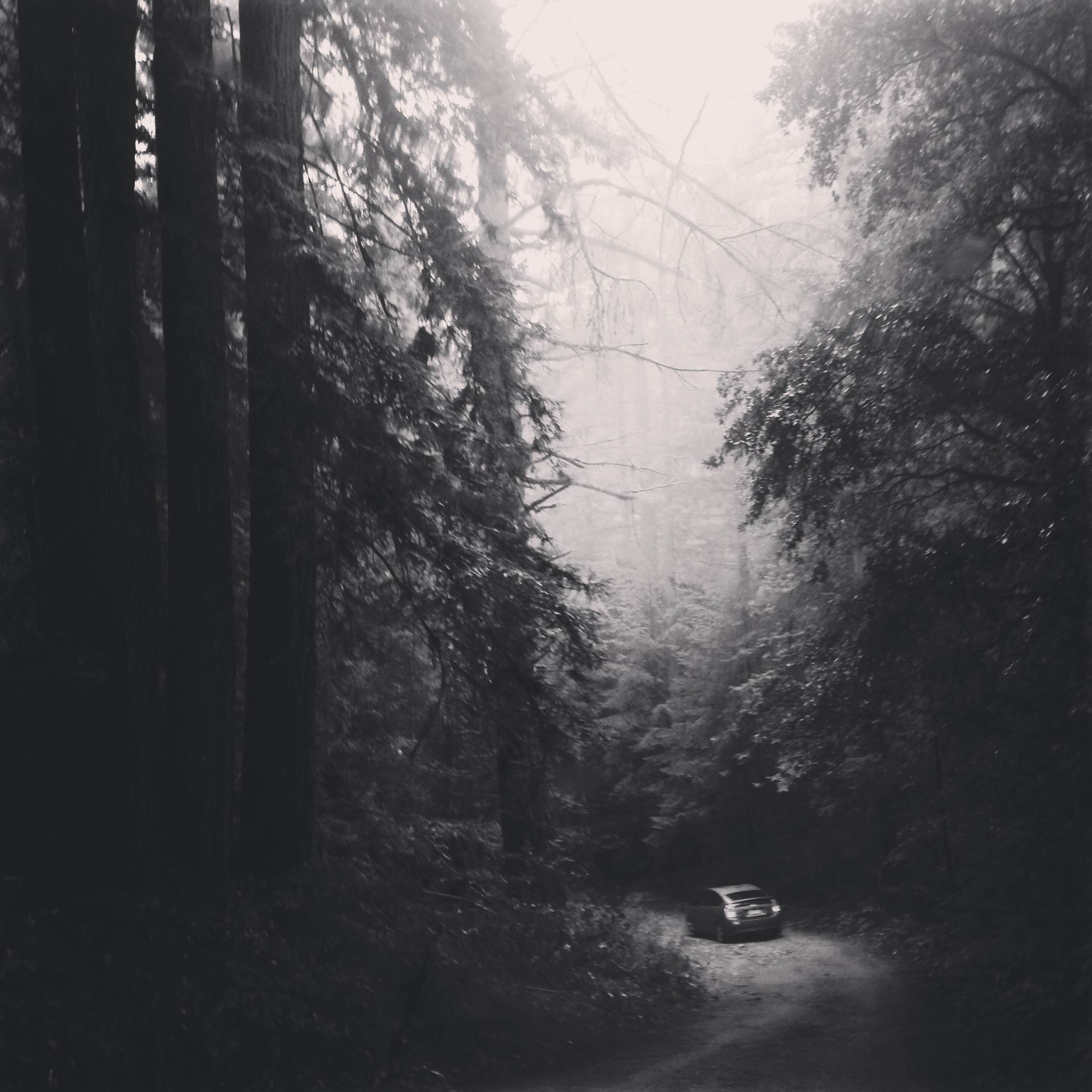 Ride