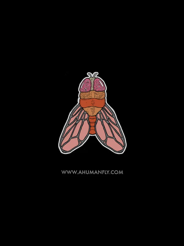 http://www.ahumanfly.com/
(art by Chris Pyrate )