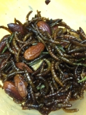 Mealworms & Almonds