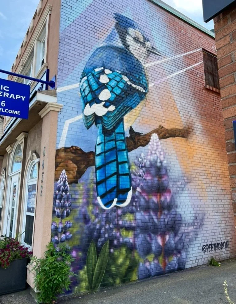 Fresh Street Art in Halifax, Nova Scotia