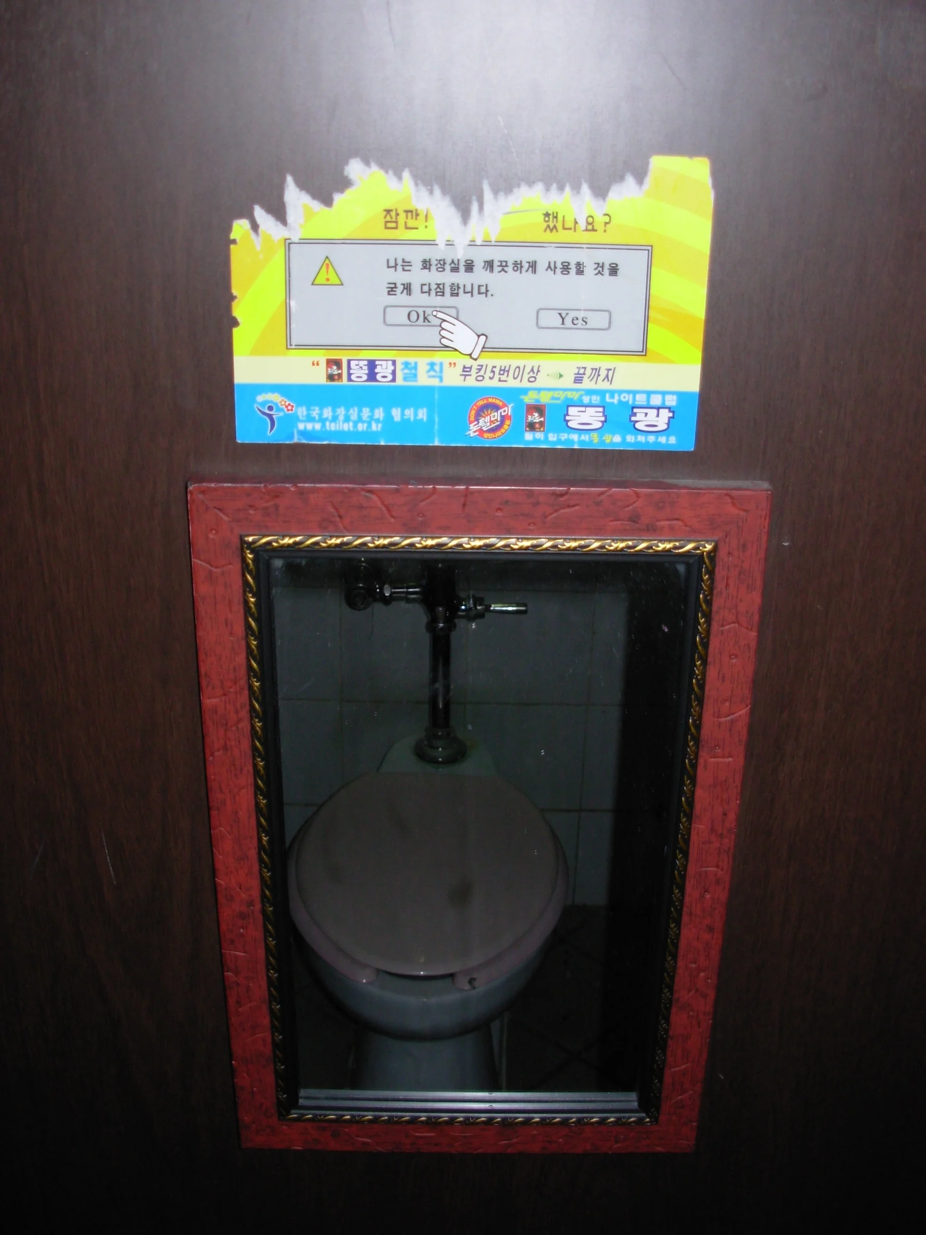 I got used to seeing mirrors in unexpected places...like a shower or a toilet.
