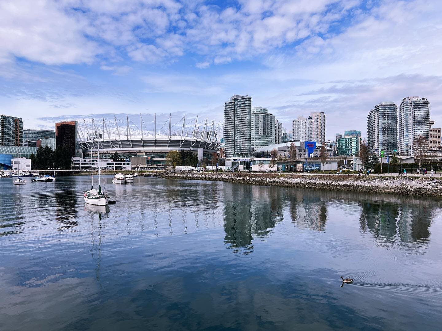 💙 Vancouver looks pretty in blue

#postcardfrom #vancouver #falsecreek #spring #travel