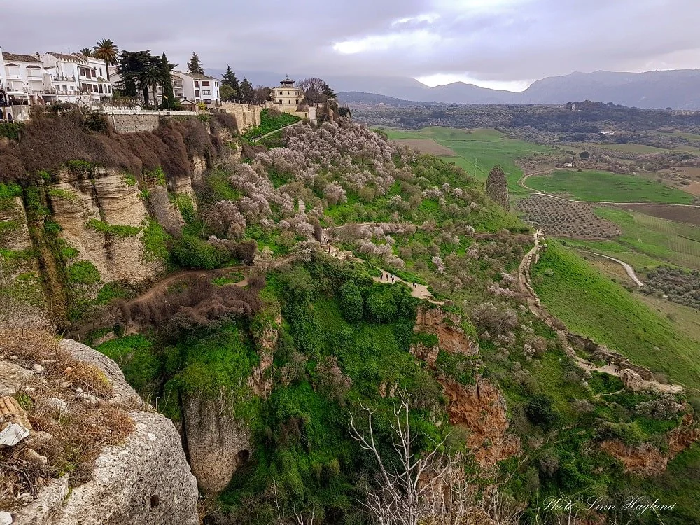 Spring in Europe: Beautiful Cities with Blossoming Trees
