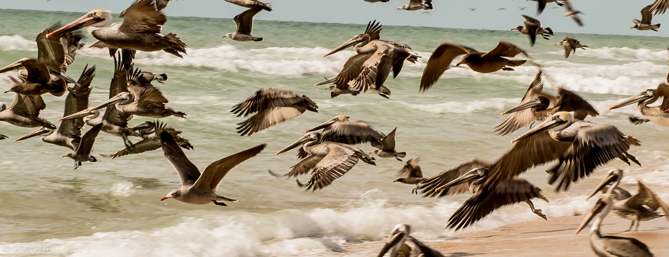 Mexico-1+copy.webp