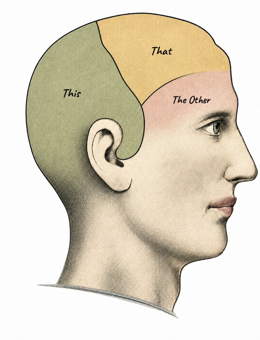 This, That, The Other