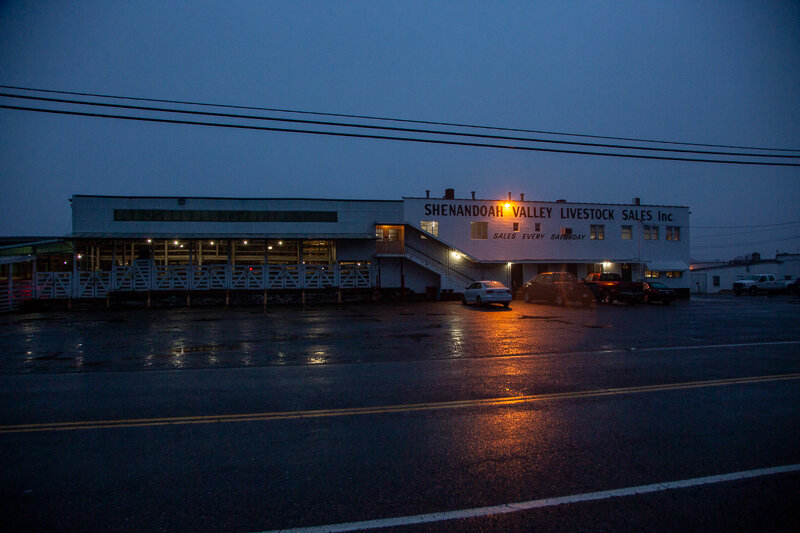  “Sales every Saturday” ~ The Shenandoah Valley Livestock Auction, established 1935.  