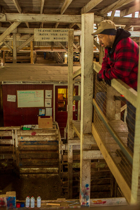 "To avoid complaints, watch your cattle being weighed."