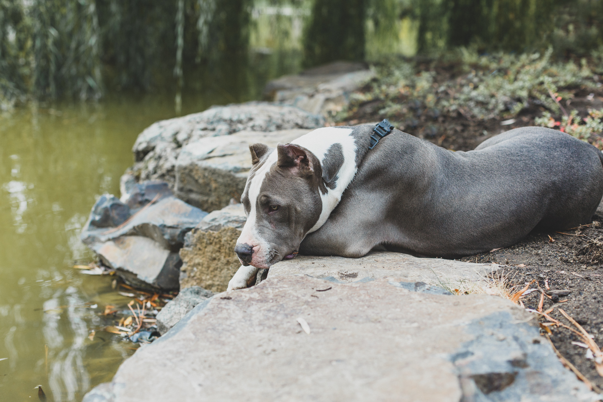 Many think he could be Luna's twin, but surprise (!) he's from a completely different state.