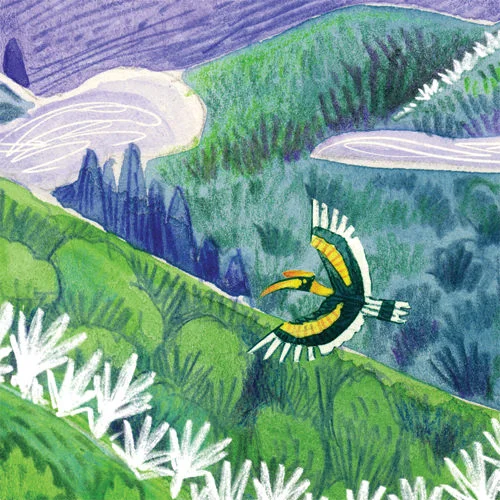 OilPalm_thumbnail.jpg