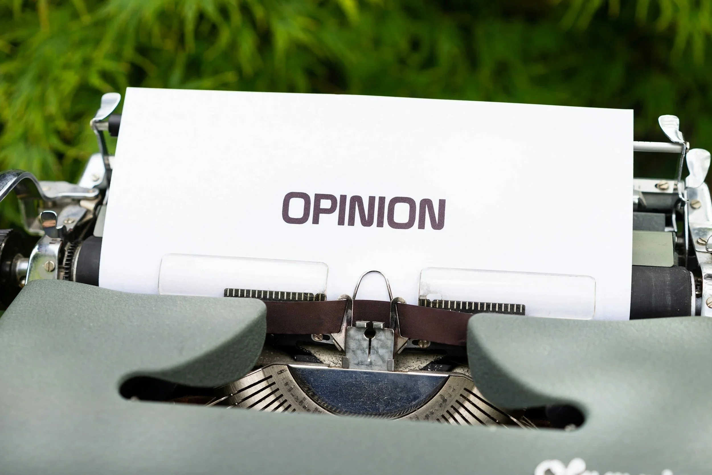 Expressing Opinions and Describing Preferences in Italian.