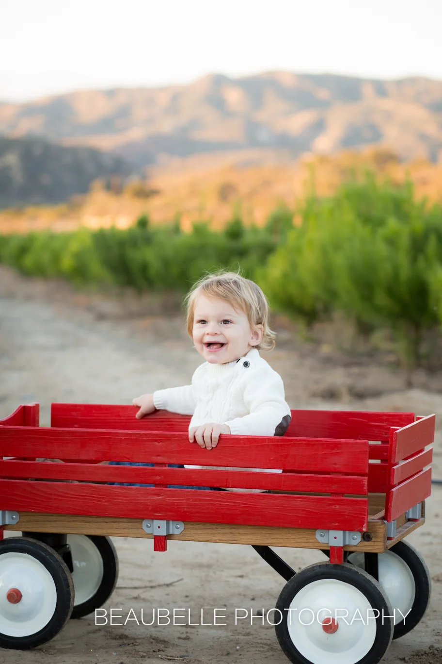 Red Wagon // Orange County Children Photographer