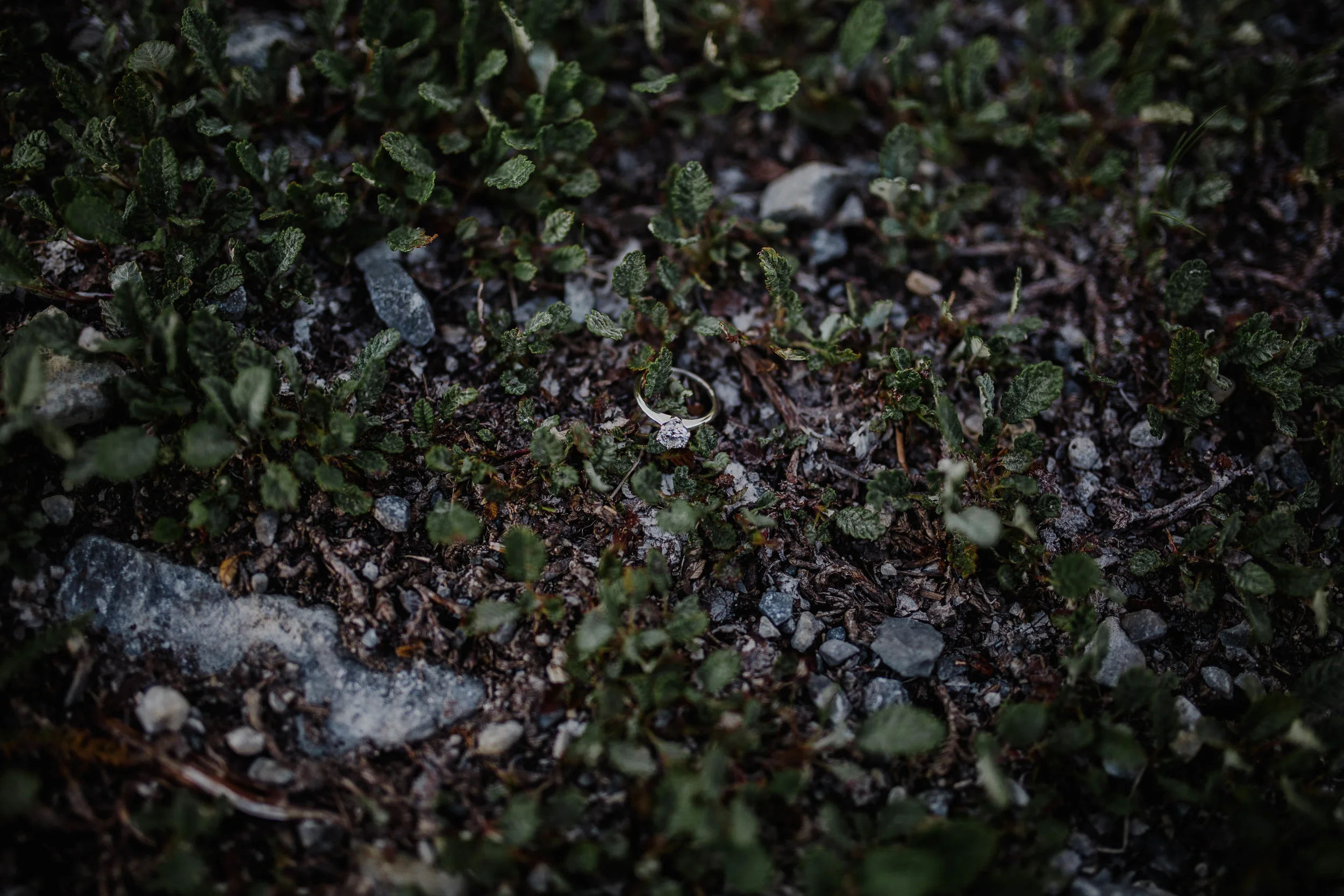 img84.jpg