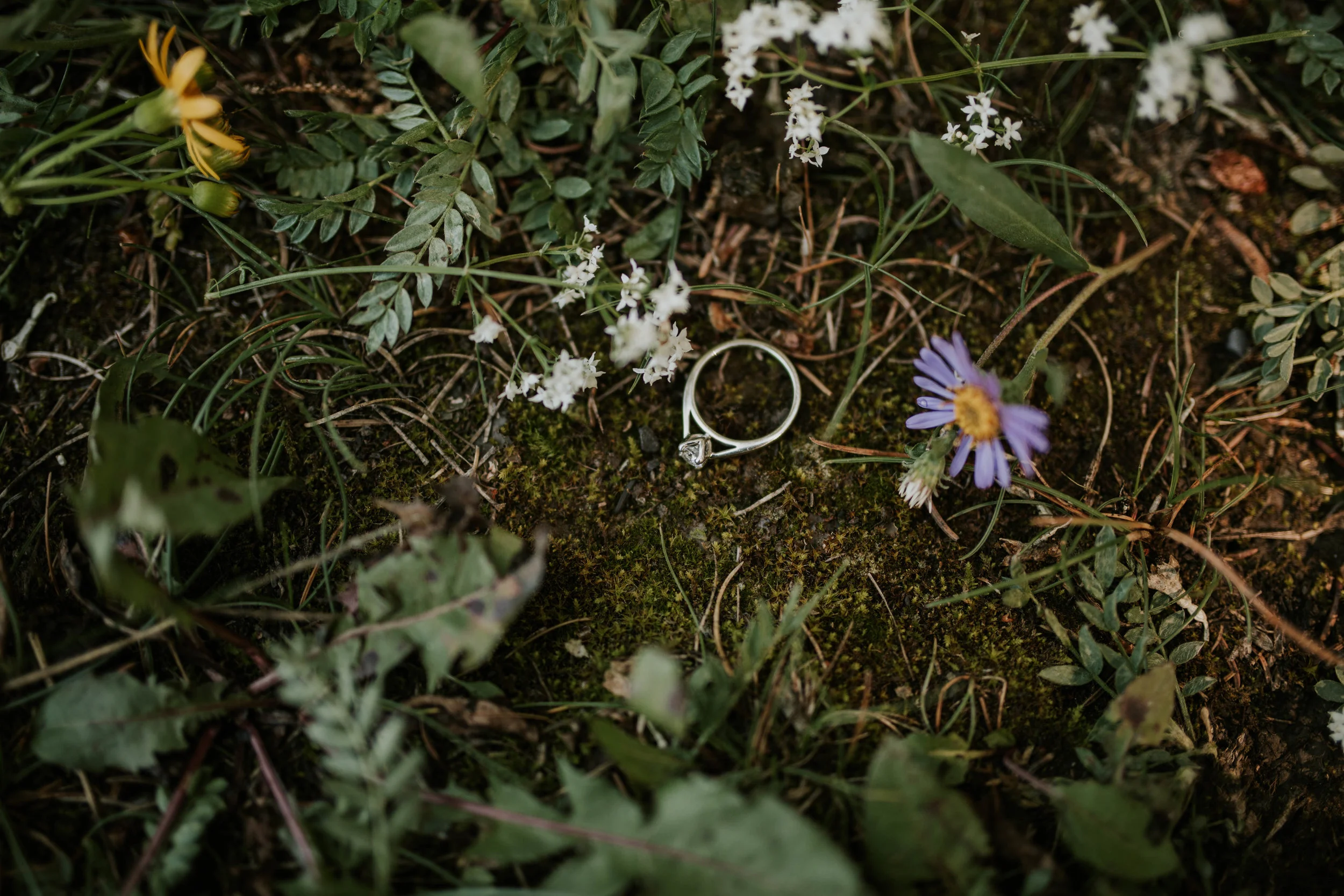 WAYNE + XIAOBIN // WEDDING